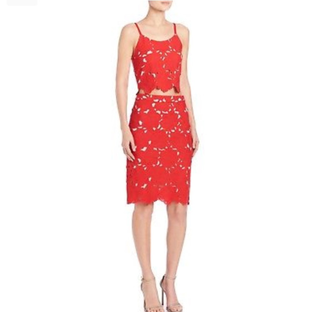 Alice and Olivia Alanis Top (2) And Skirt (2